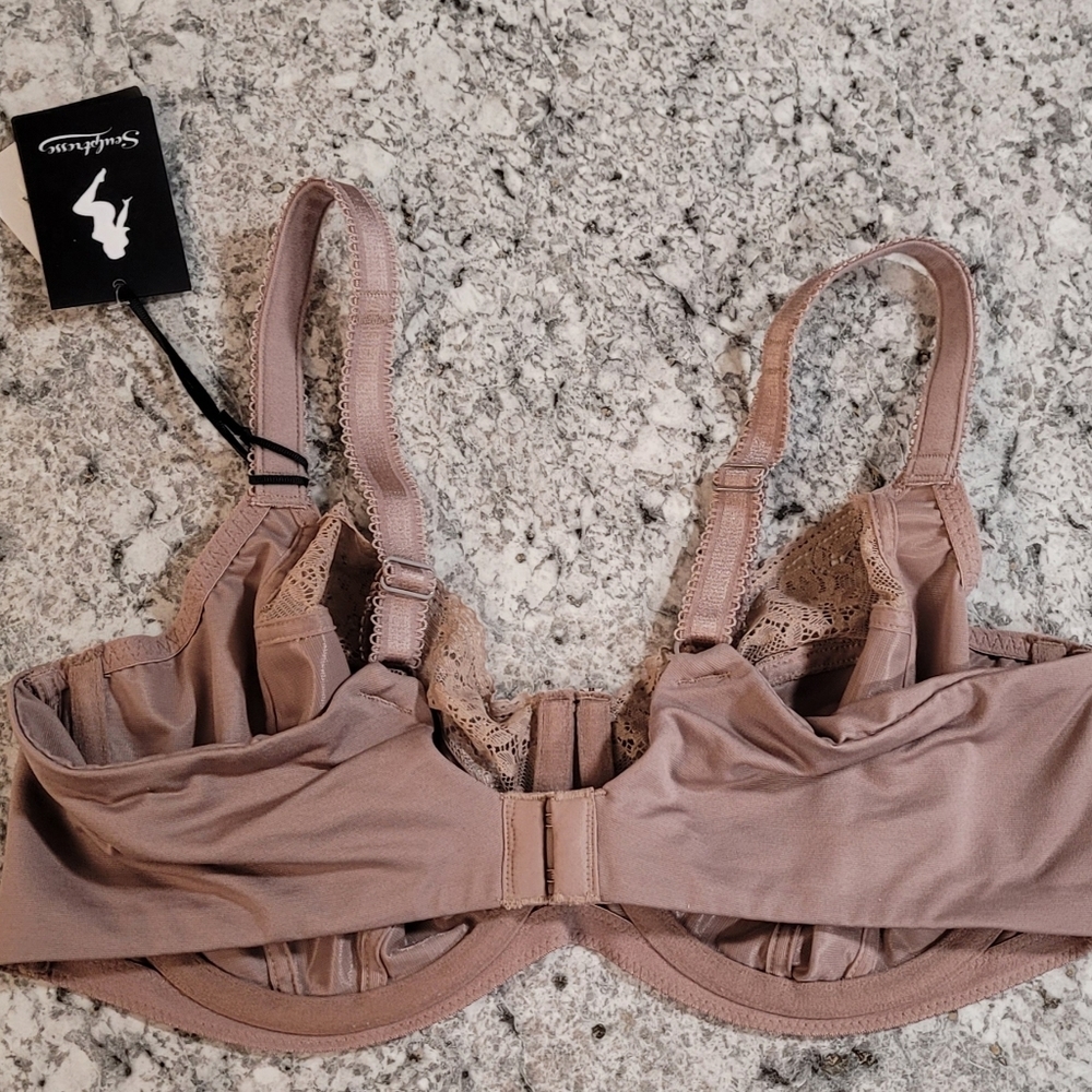 Panache Lace Trim Bra in Taupe - Picture 5 of 8